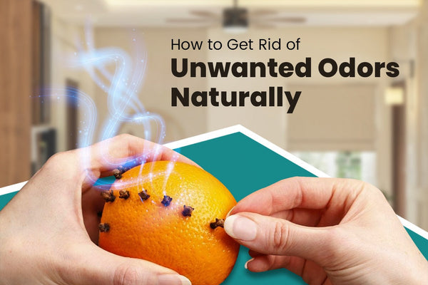 How to Get Rid of Unwanted Odors Naturally 